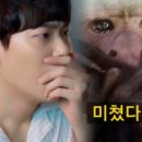 클럽멤피스글램핑 네이버블로그