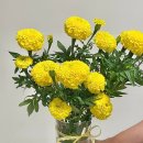 싱그러운 여름 꽃 화병꽂이 이미지