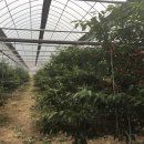 혜원농장 이미지