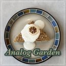 사랑이머무는카페 | [공지] 김포 장기동 카페 아날로그 가든 | 머무는 모든 순간이 좋았던 공간 Analog Garden