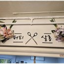 퍼피살롱 이미지