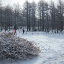 운탄고도1330길을 아시나요? (시원한 겨울사진) 이미지