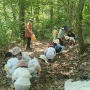 봉의초병설유치원 이미지