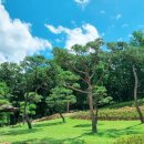 일산수목장