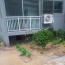 옥룡주공아파트 이미지