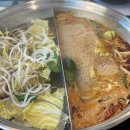 비요르크 이미지