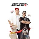 DC League of Super Pets 이미지