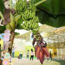 나무와열매어린이집 이미지