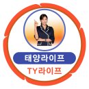 태양 동물병원 | 태양라이프(TY라이프) 사업자 구조와 수당 개념, 솔직 후기 정리