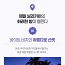 황제보트 Daum카페