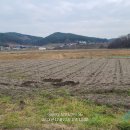 이원초등학교관동분교장 이미지