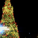 유성대로(유성-30) 이미지