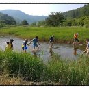 숲속의 샘물 캠핑장 이미지