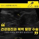 위케어동물의료센터 | 고양이 아랫배쪽이 볼록 나왔어요. 건강검진 후 하복부 재탈장 수술 후기