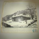 주식회사부동산중개법인라움 이미지