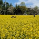 안하농장 이미지