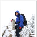 한일맛집 이미지