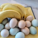 산모피아 강서양천지사 네이버블로그