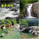 서산 갯마을산악회, 제89차 정기산행(가평 용추계곡)...'국내 최장' 물소리와 함께 걷기 명소~!! 이미지