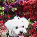 수채화(취미) 이미지