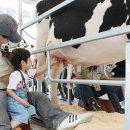 양일목장 이미지