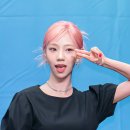여름기획주 이미지