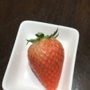 킹스베리 이미지