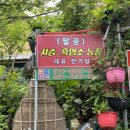 팔공사슴농장 이미지