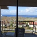 오션포인트 이미지