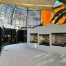 주토피움 네이버블로그