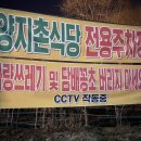 양지촌식당 이미지