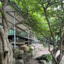 삼거리산장 | (전남 광양) 백운산 등산 #진틀 #병암산장 ft.5시간