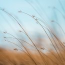 삼성메디컬치과의원 이미지