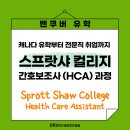 [ 캐나다 이민 ] 캐나다에서 간호사/간호보조사 되기 | Sprott Shaw College (+ 실제 학생 후기) 이미지