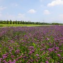 대저생태공원 이미지