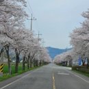 지리산리조트 이미지