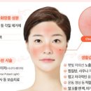 동화약국 이미지