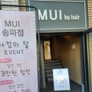 무이 송파점,본식 일주일 전 염색 추천 애쉬브라운 후기