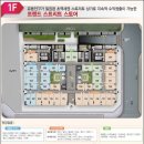 디엠케어 이미지