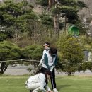 KLPGA 송미영골프스쿨 | 골프 필드레슨 후기. 최고였어요. 혼자 신청 가능