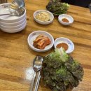 제육의법칙 이미지