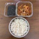 파랑새제과 | 26년 3월 일상 (2)