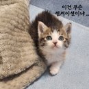 센세이션 이미지