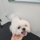 연두미용실 이미지