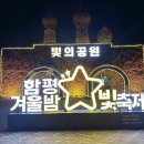 함평 빛 겨울축제 가볼 만한 곳 빛 축제 아이들과 다녀온 후기