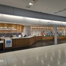 로이스샾 | 삿포로 여행 신치토세 공항 맛집 구경하기 좋은 도라에몽 카페