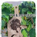 학장반도프라자 앞 이미지