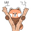 부산 연제구보건소 이미지