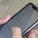 안경나라학동점 | 🌊거제&amp;통영 여행기(통영 바다에서 야생 수달 본 썰..🦦)