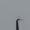 성남사 - 보성군 채동선로 198-1 | 성남사